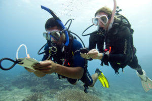 Kurs Underwater Navigation