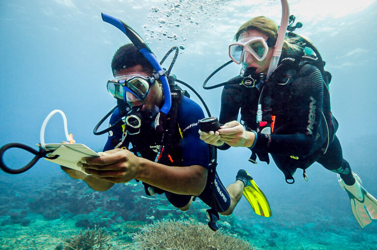 Kurs podwodnej nawigacji. Underwater Navigation Diver. Daj Nura. Szczecin