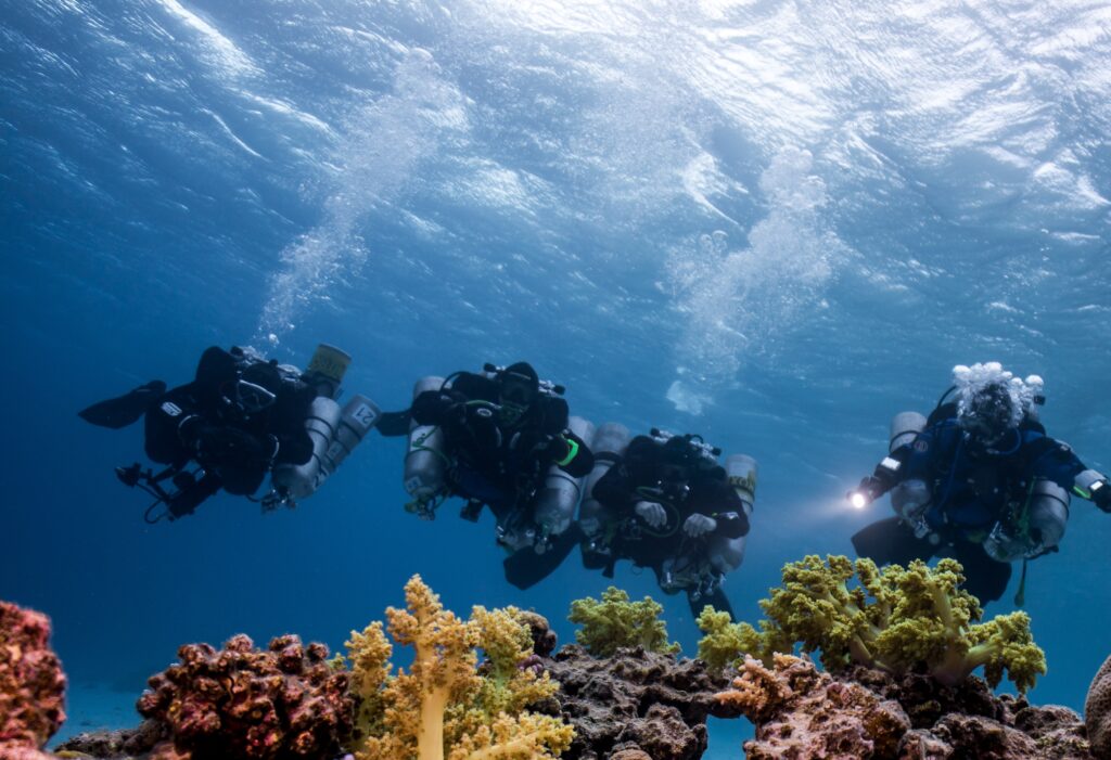 kurs nurkowania technicznego Kurs nurkowania technicznego – jak zacząć swoją przygodę z Technical Diving?