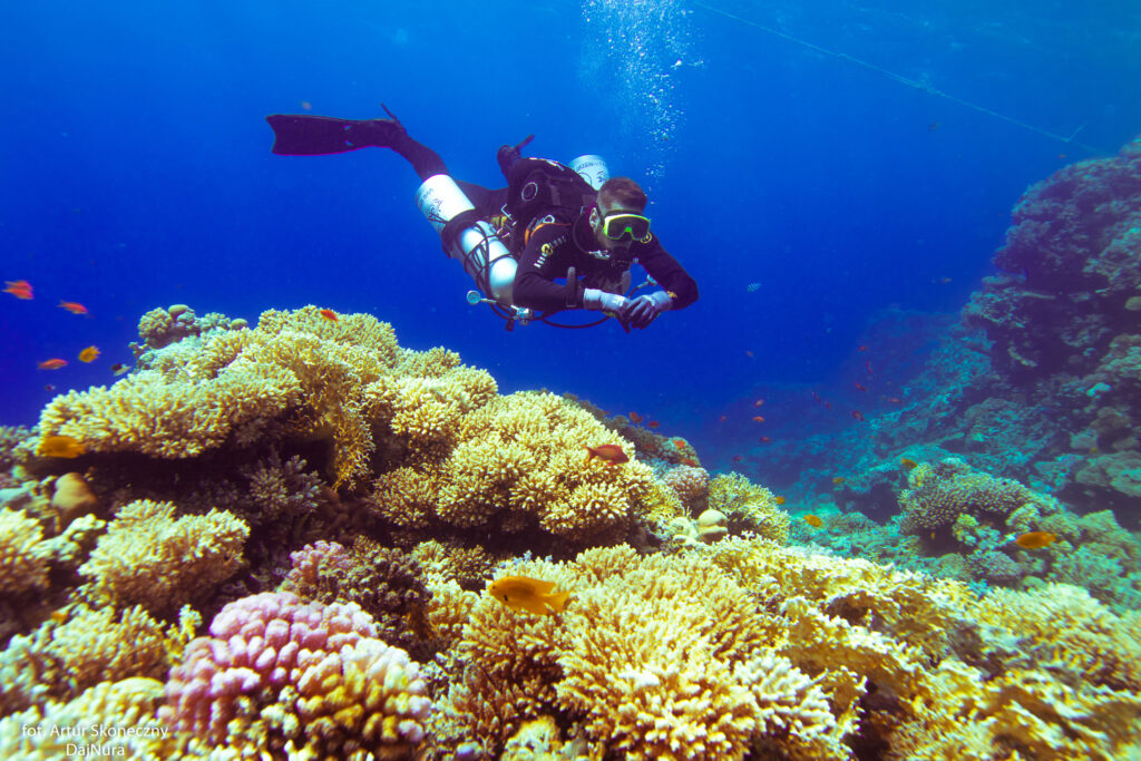 Twinset vs sidemount Twinset vs Sidemount – Co wybrać do nurkowań technicznych? 6 różnic porównawczych.