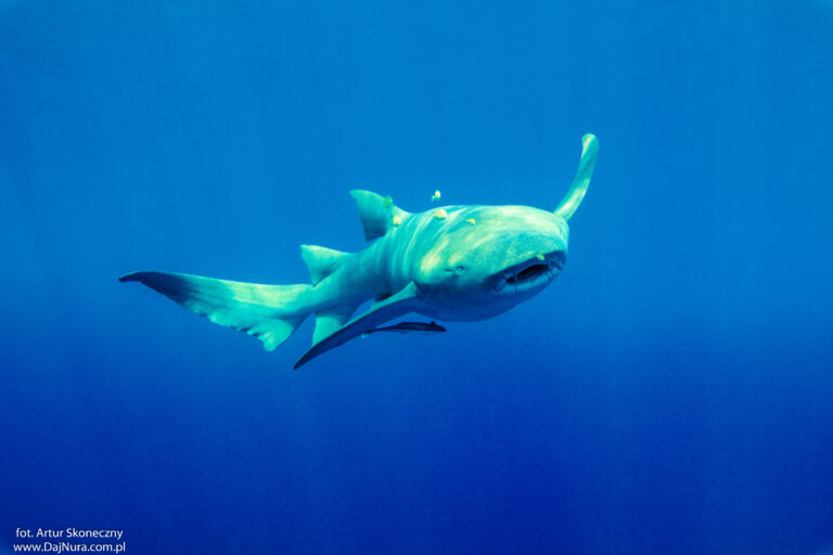 wydarzenia Wydarzenia